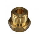 Brass Temp Bush Reducer 1/8" (8.4mm) Female NPT Thread to M18-1.5 Male Thread
