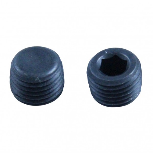 [OGP289-2] Oil Gallery Plug Suits Windsor V8 - Pair
